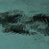 L�acqua gelida � dovuta principalmente alla presenza di sorgenti chiamate �citri�, che sgorgando formano affascinanti giochi di bolle con la sabbia